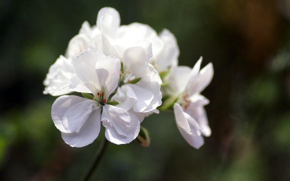 极度恐慌是恐怖游戏吗