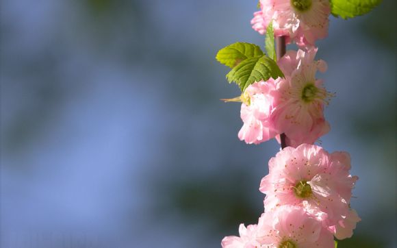 梦迹沙河3毕业怎么刷