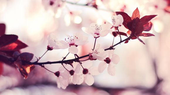 破解无限钻石游戏